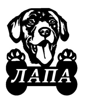 Лабрадор собака