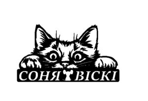 Виглядаючий котик